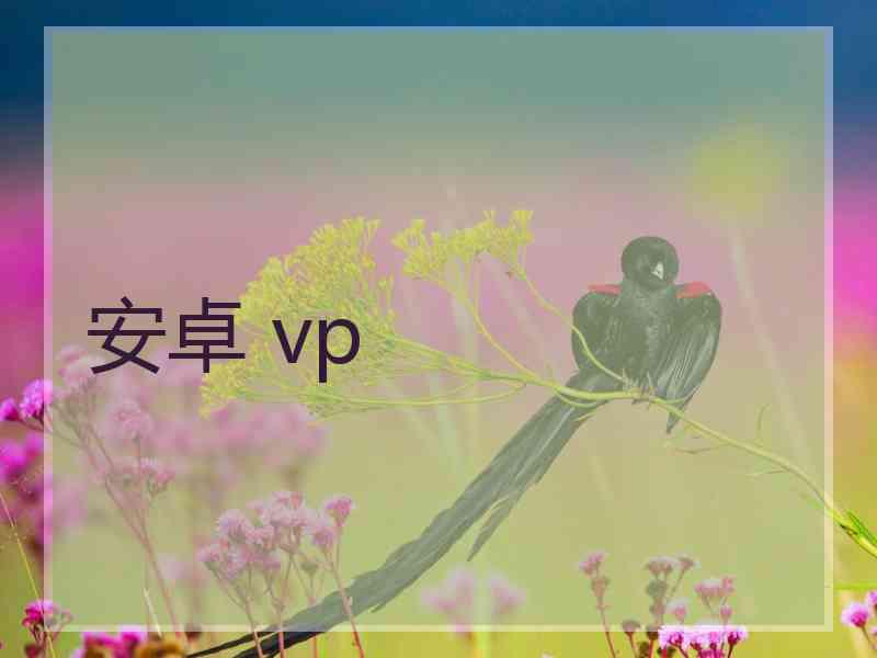 安卓 vp