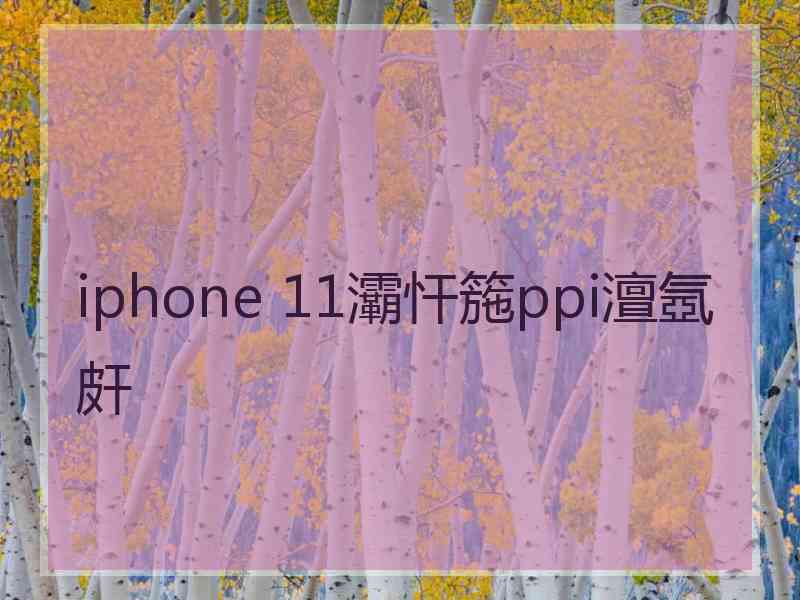 iphone 11灞忓箷ppi澶氬皯