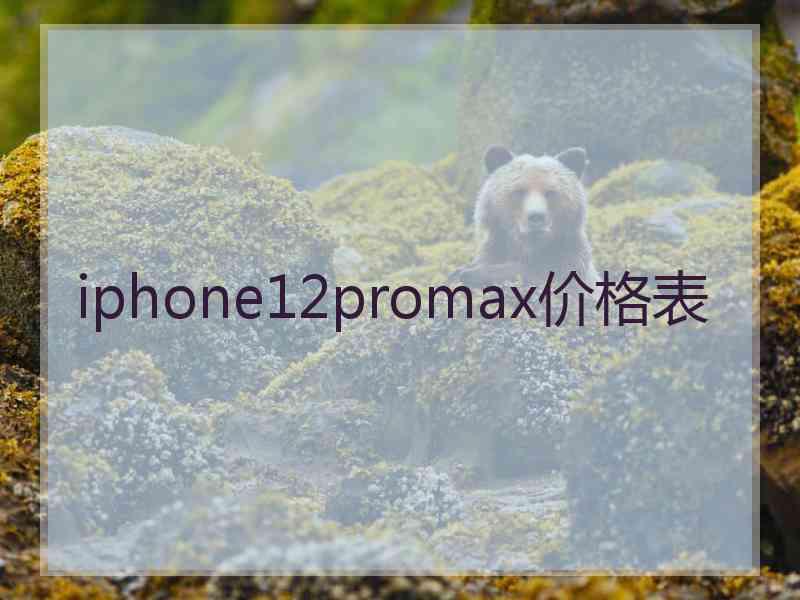 iphone12promax价格表