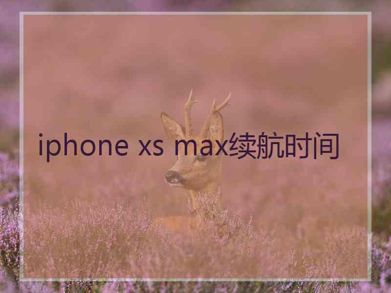 iphone xs max续航时间