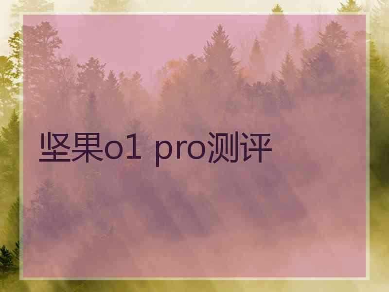 坚果o1 pro测评