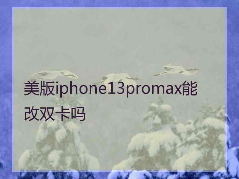 美版iphone13promax能改双卡吗