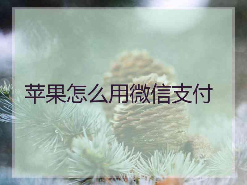 苹果怎么用微信支付