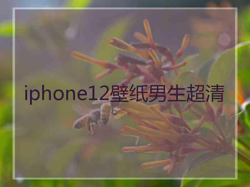 iphone12壁纸男生超清