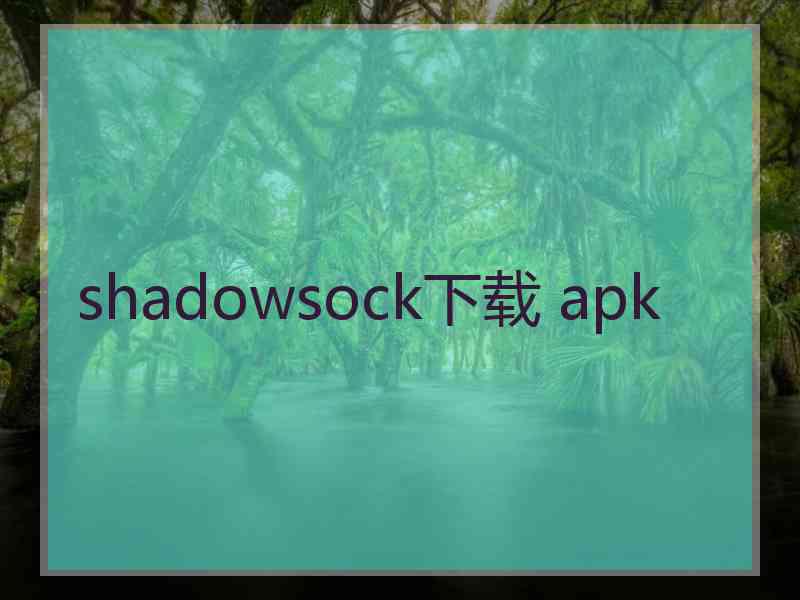 shadowsock下载 apk