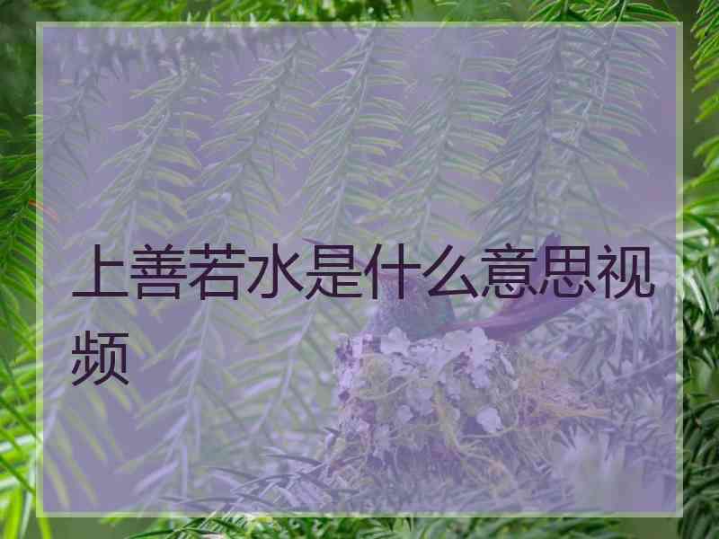 上善若水是什么意思视频