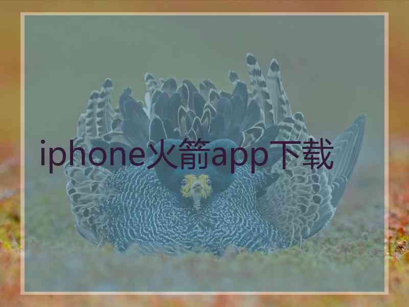 iphone火箭app下载