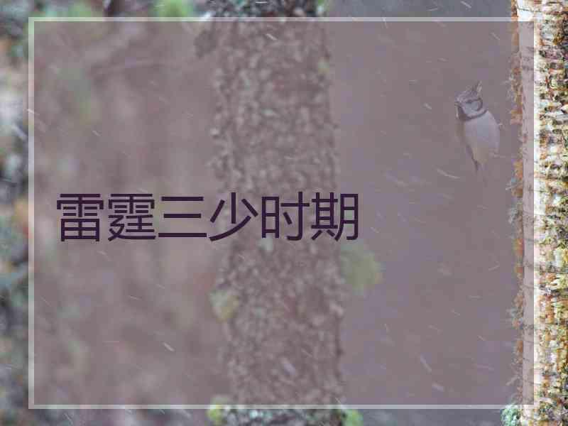 雷霆三少时期