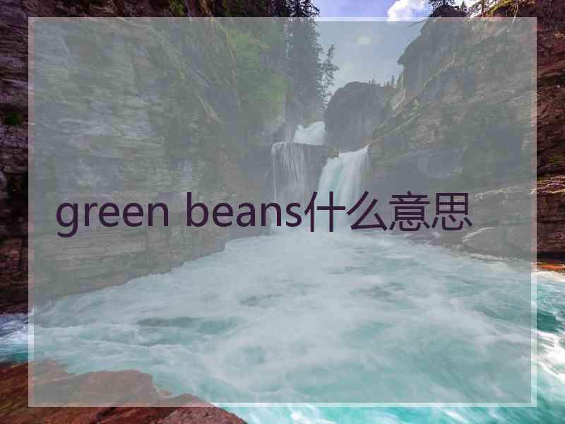 green beans什么意思