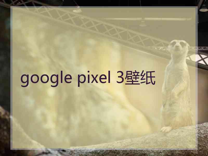 google pixel 3壁纸