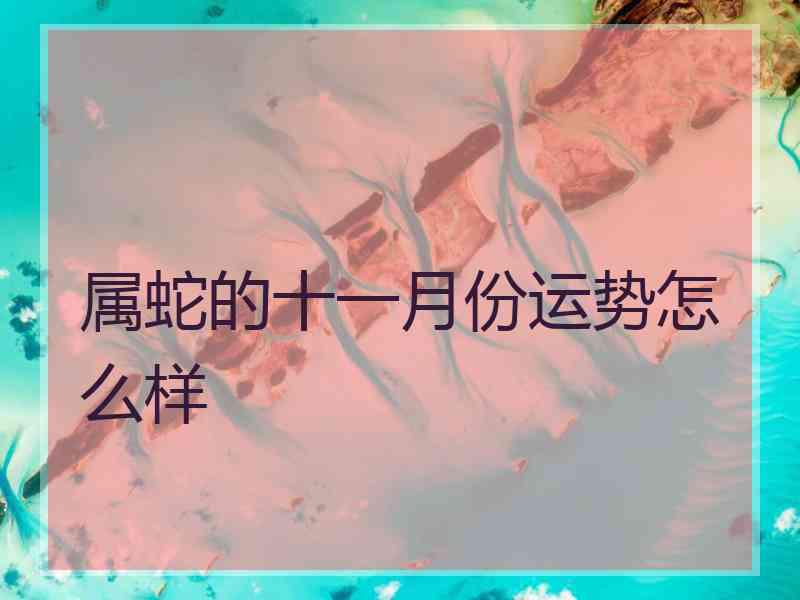 属蛇的十一月份运势怎么样