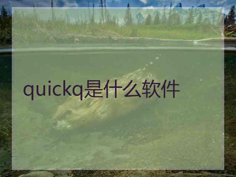 quickq是什么软件