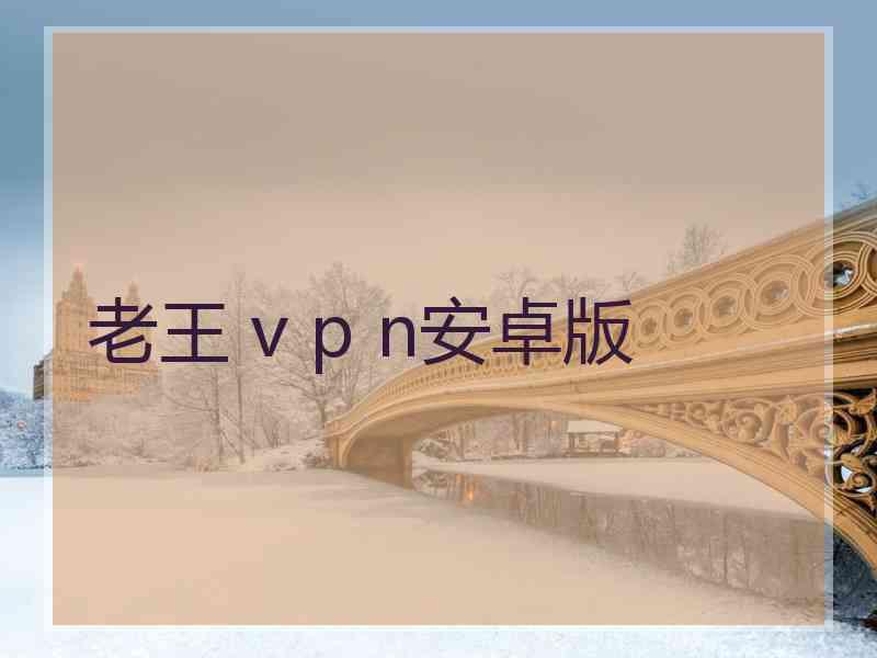 老王 v p n安卓版