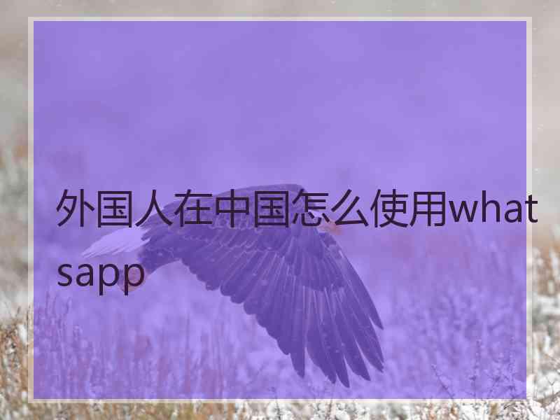 外国人在中国怎么使用whatsapp