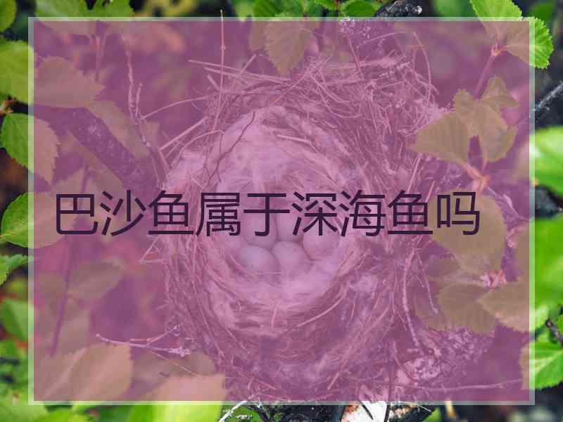 巴沙鱼属于深海鱼吗