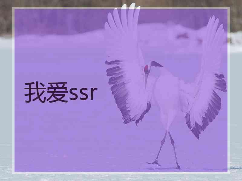 我爱ssr