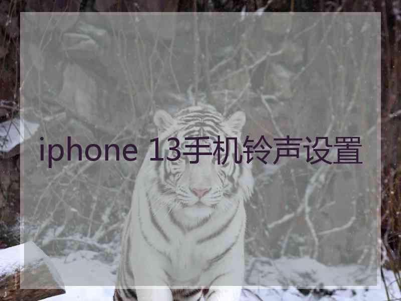 iphone 13手机铃声设置