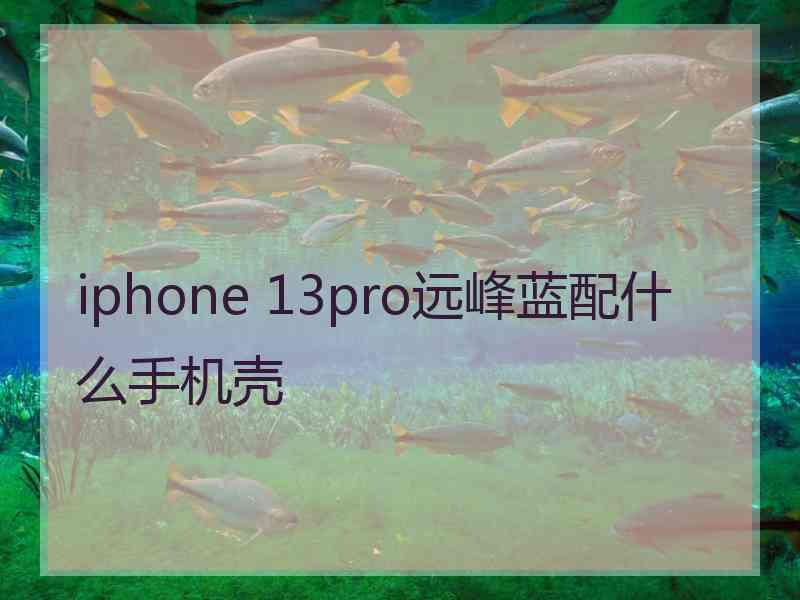 iphone 13pro远峰蓝配什么手机壳