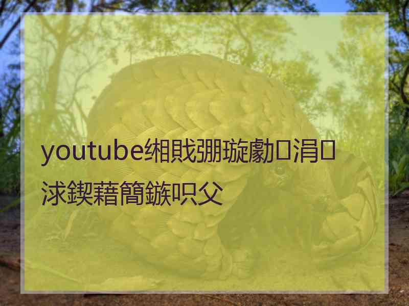 youtube缃戝弸璇勮涓浗鍥藉簡鏃呮父