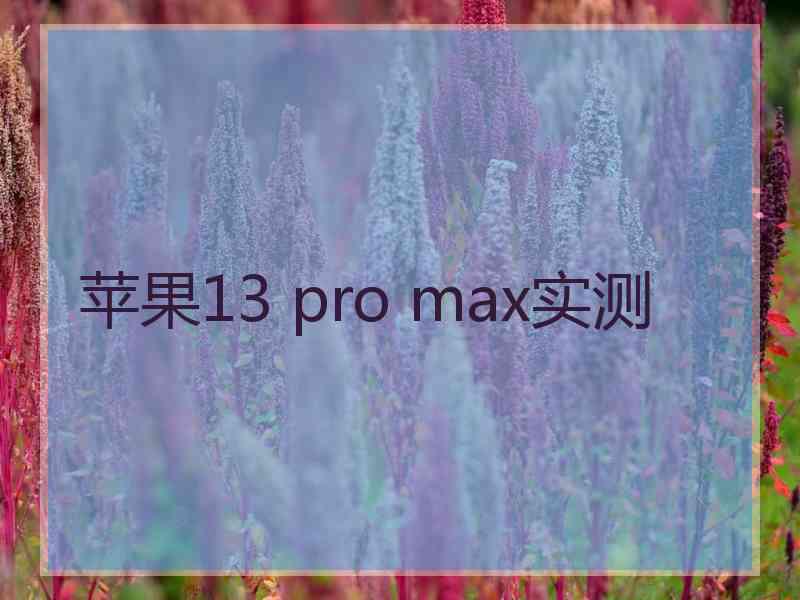 苹果13 pro max实测