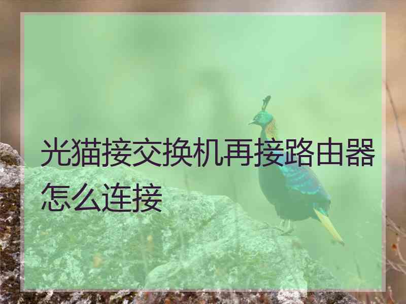 光猫接交换机再接路由器怎么连接