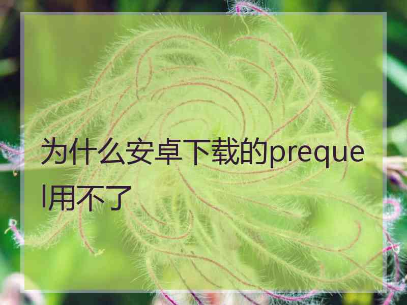 为什么安卓下载的prequel用不了