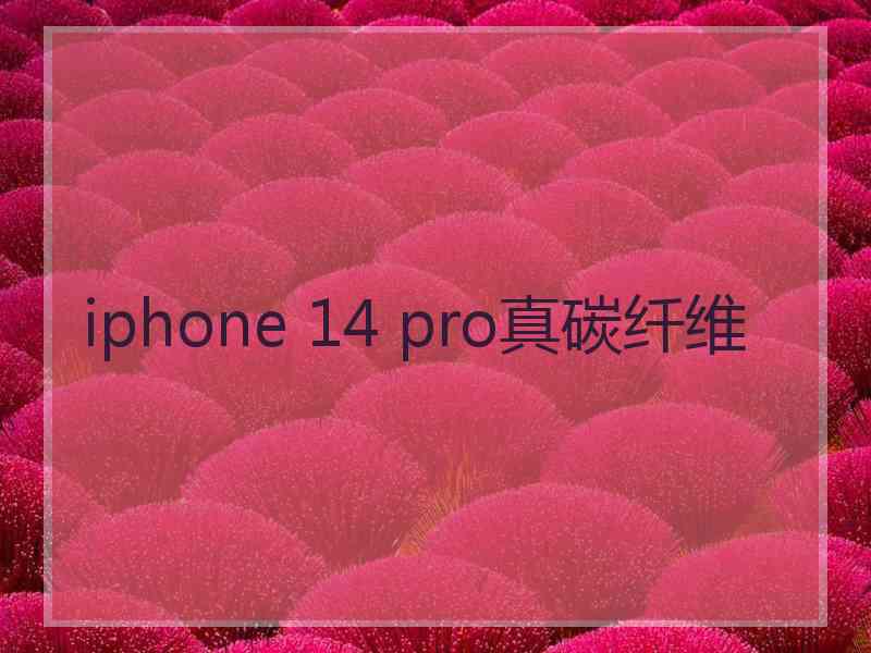 iphone 14 pro真碳纤维