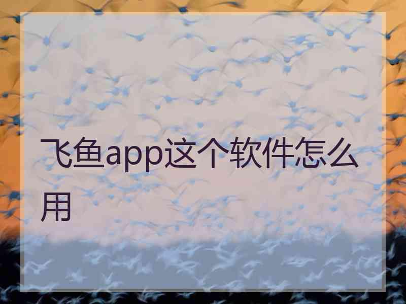 飞鱼app这个软件怎么用