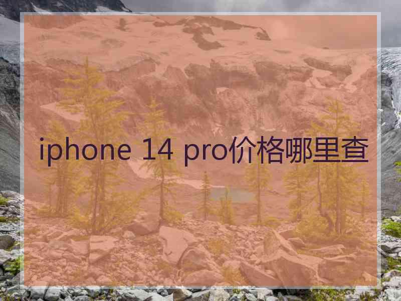 iphone 14 pro价格哪里查