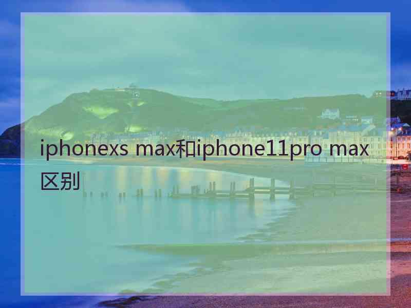 iphonexs max和iphone11pro max区别