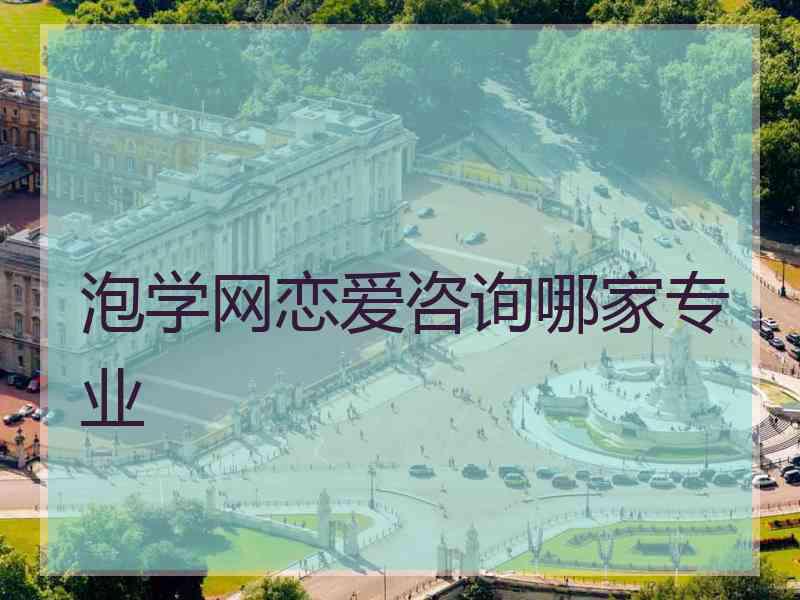 泡学网恋爱咨询哪家专业