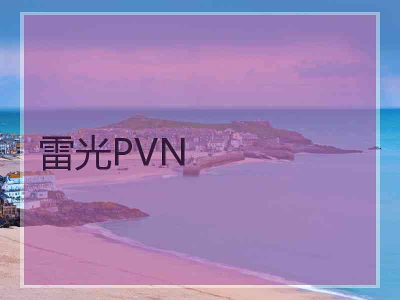 雷光PVN