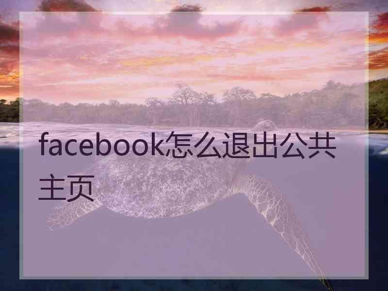 facebook怎么退出公共主页