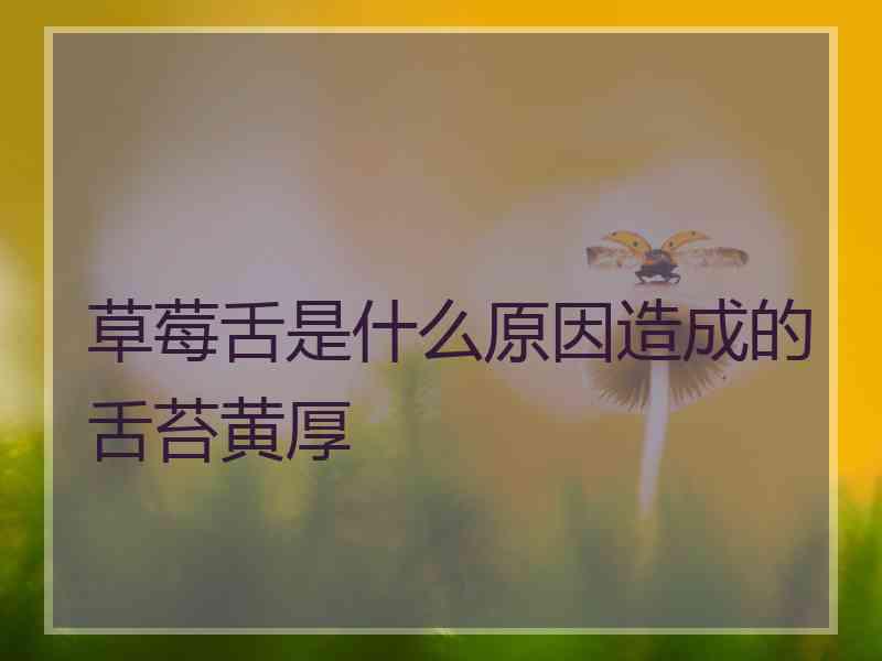 草莓舌是什么原因造成的舌苔黄厚