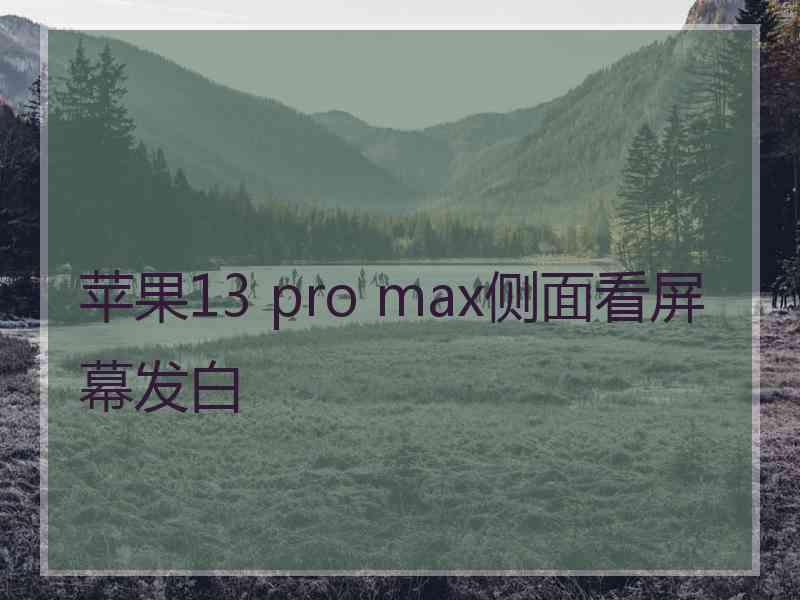 苹果13 pro max侧面看屏幕发白