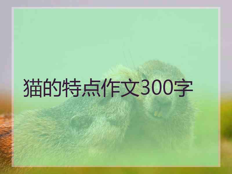 猫的特点作文300字