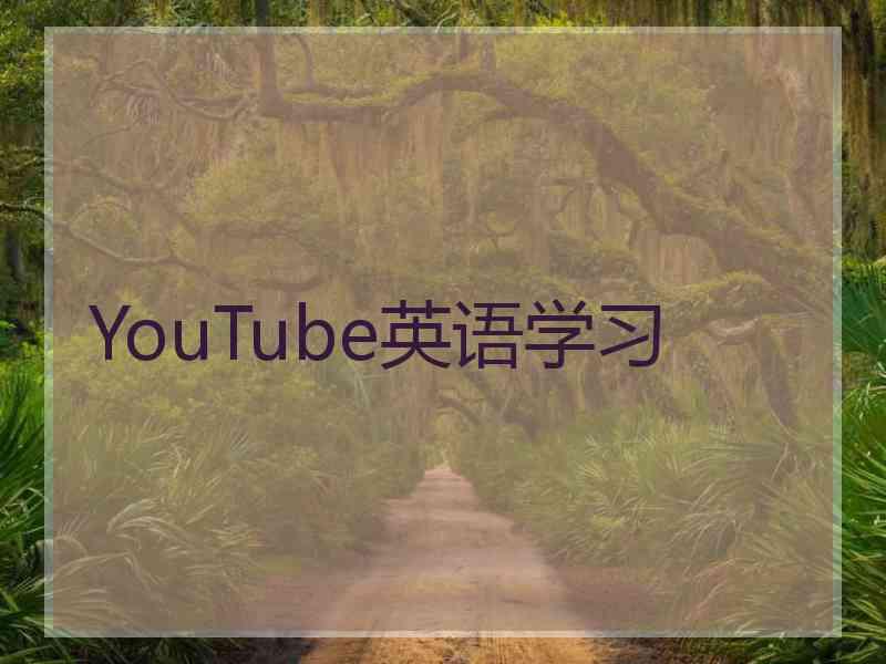 YouTube英语学习