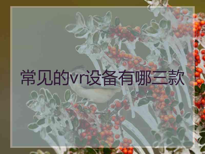 常见的vr设备有哪三款