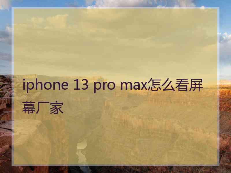 iphone 13 pro max怎么看屏幕厂家