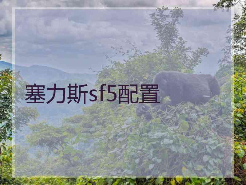 塞力斯sf5配置