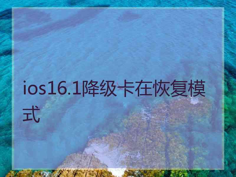 ios16.1降级卡在恢复模式