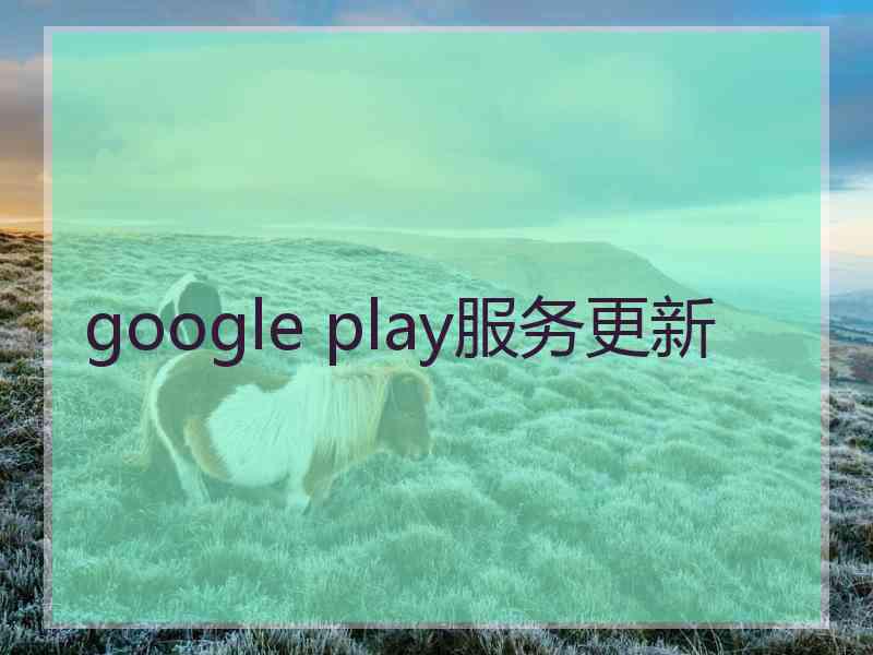 google play服务更新