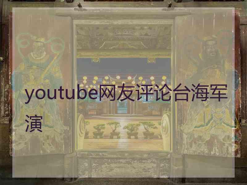 youtube网友评论台海军演