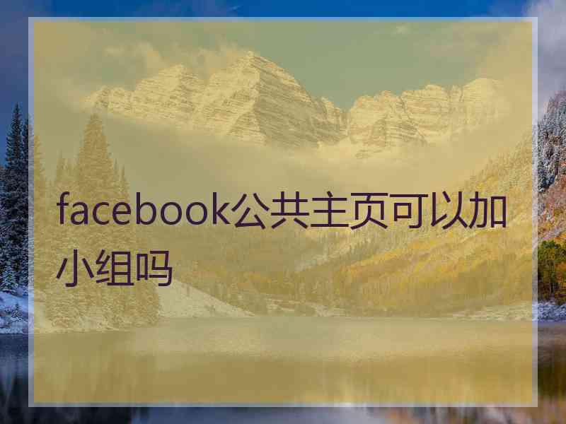 facebook公共主页可以加小组吗