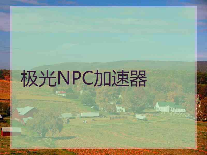 极光NPC加速器