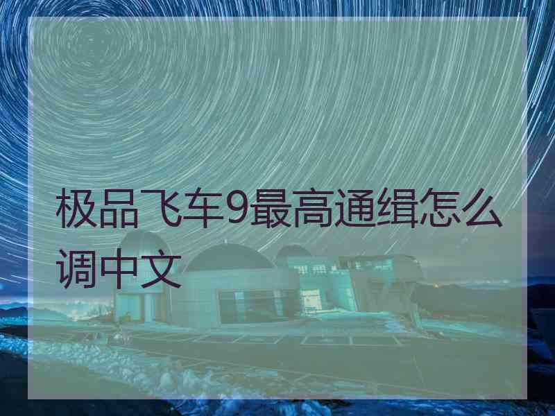 极品飞车9最高通缉怎么调中文