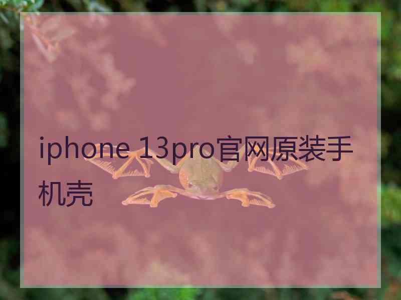 iphone 13pro官网原装手机壳