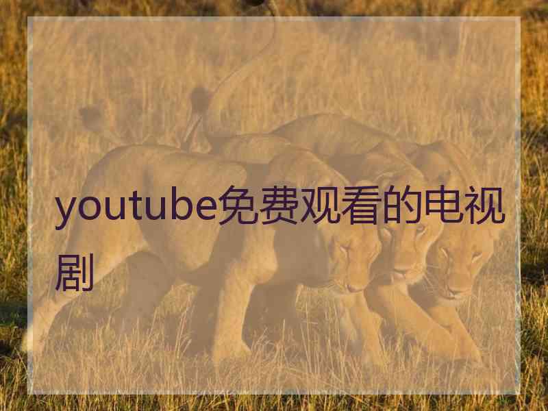 youtube免费观看的电视剧