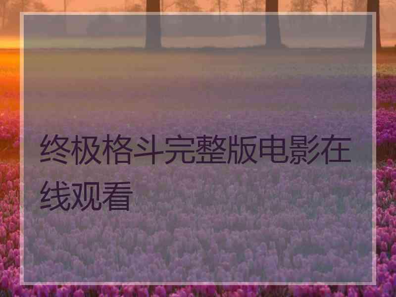 终极格斗完整版电影在线观看