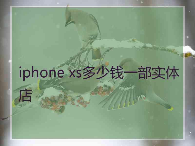 iphone xs多少钱一部实体店